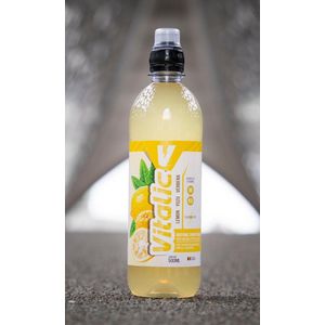 VITALIC  isotone sportdrank  lemon-yuzu-verbena  voordeelpack  12x500ml