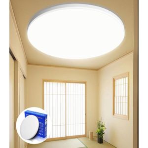 Led plafondlamp plat rond natuurlijk wit 24 W 6000 K 2400 lm IP44 modern paneel drievoudige bescherming voor woonkamer badkamer lamp keuken slaapkamer hal balkon