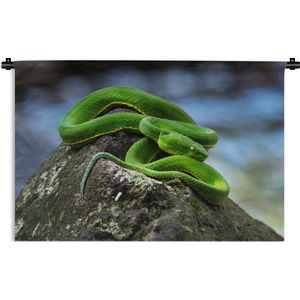 Wandkleed Junglebewoners - Groene slang op steen Wandkleed katoen 180x120 cm - Wandtapijt met foto XXL / Groot formaat!