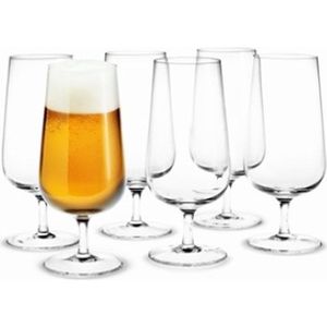 Holmegaard Bouquet bierglas 53cl set van 6