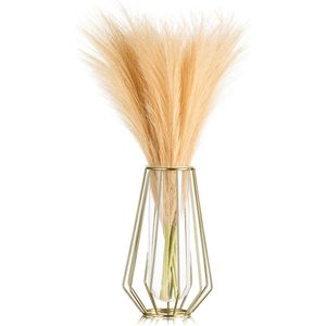 Gouden vaas met reageerbuisje, 21 cm hoog, moderne geometrische bloemenvazen, metalen frame, vazen voor tafel, decoratieve planten, staande vaas voor pampasgras, rozen, kunstbloemenboeket