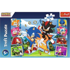 Trefl - Puzzles - ""100"" - Meet Sonic / SEGA Sonic The Headgehog