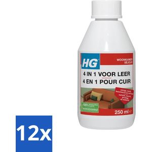 HG - 4 In 1 Voor Leer - Beschermt, Voedt, Verfraait & Reinigt - 250 ml - Voordeelverpakking - 12 stuks