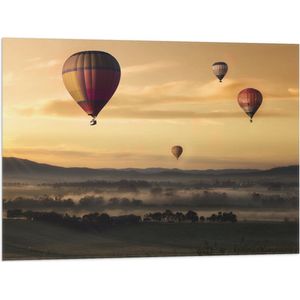 WallClassics - Vlag - Luchtballonen Zwevend boven Open Veld - 80x60 cm Foto op Polyester Vlag