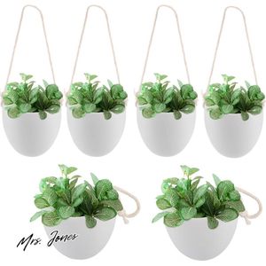 Mrs. Jones Set van 6 macramé plantenhangers 9 x 95 cm hangende bloempotten wandvazen voor planten kleine hangplant bloempothouder hanglamp planten wanddecoratie voor kamer balkon en tuin. .