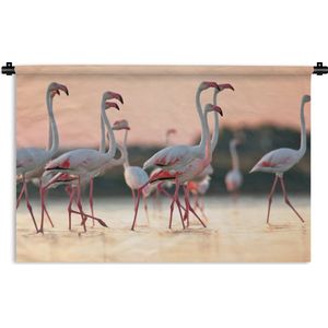 Wandkleed Flamingo  - Groep flamingo's bij zonsondergang in Italië Wandkleed katoen 150x100 cm - Wandtapijt met foto