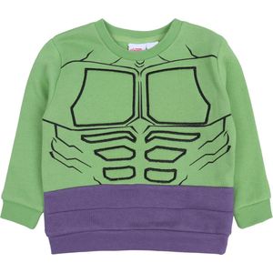 Groen en paars Hulk MARVEL AVENGERS sweatshirt
