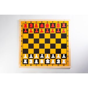 MAGNETIC DEMONSTRATION PLAYERS - wooden frame, foldable in half, figures included