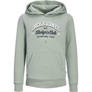 JACK&JONES JUNIOR JJELOGO SWEAT HOOD 2 COL 24/25 NOOS JNR Jongens Trui - Iceberg Green