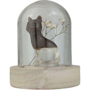 Gedenkpops huisdieren - katten urn - urnen - huisdier urn - gedenken - memmor - mini urn