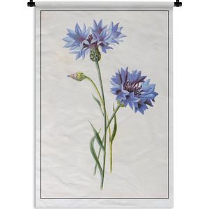 Wandkleed Korenbloem illustratie - Een illustratie van twee korenbloemen Wandkleed katoen 60x90 cm - Wandtapijt met foto