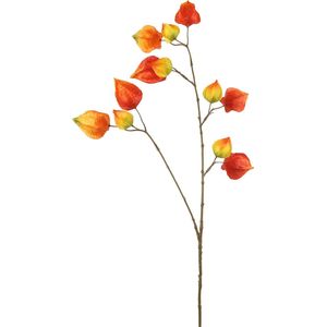 Countryfield Kunsttak Physalis vuur oranje