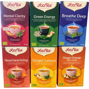 Yogi Tea Hot-'n-Cold - 6 pakjes x17 theezakjes