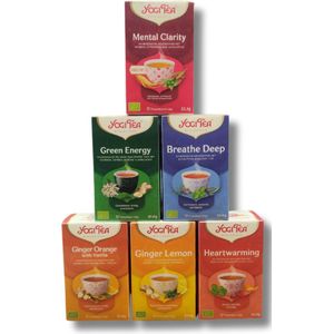 Yogi Tea Hot-'n-Cold - 6 pakjes x17 theezakjes