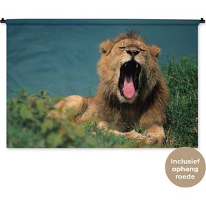 Wandkleed Leeuwen - Gapende leeuw Wandkleed katoen 120x80 cm - Wandtapijt met foto
