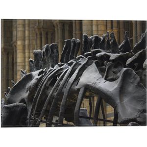 WallClassics - Vlag - Zwart Skelet van een Dino - 40x30 cm Foto op Polyester Vlag
