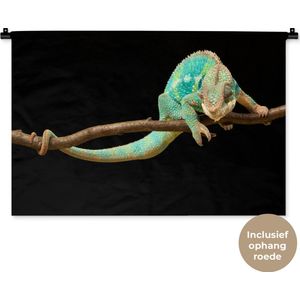 Wandkleed Dieren - Close-up panterkameleon Wandkleed katoen 90x60 cm - Wandtapijt met foto
