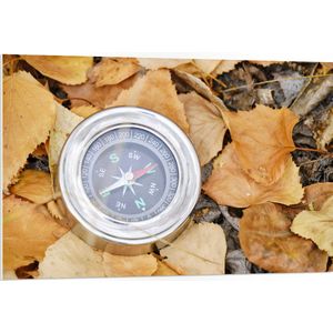 WallClassics - PVC Schuimplaat - Traditioneel Kompas op Stapel Herfstbladeren - 105x70 cm Foto op PVC Schuimplaat (Met Ophangsysteem)