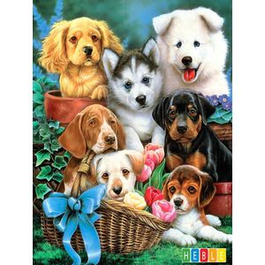 Diamond Painting Kit: Schattige Puppy's 30*40cm - van Heble®