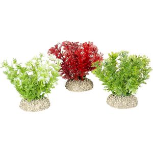 Aqua Della - Aquariumplanten (voeding) - Vissen - Plant Hottonia S - Height 10cm Gemengde Kleuren - 1st