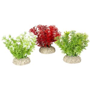 Aqua Della - Aquariumplanten (voeding) - Vissen - Plant Hottonia S - Height 10cm Gemengde Kleuren - 1st