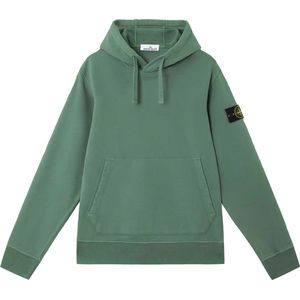 Stone Island Felpa Hoodie 'Sage Green'
