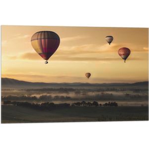 WallClassics - Vlag - Luchtballonen Zwevend boven Open Veld - 75x50 cm Foto op Polyester Vlag