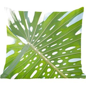 Sierkussen Botanisch voor binnen - Een groen botanisch blad in de zon - 60x60 cm - vierkant binnenkussen van katoen