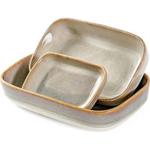 ovenschaal set - voor keuken, diner, banket en dagelijks gebruik,