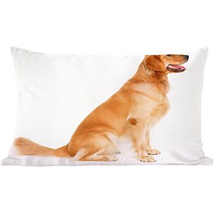 Sierkussens - Kussen - Zijaanzicht van een zittende Golden Retriever - 50x30 cm - Kussen van katoen