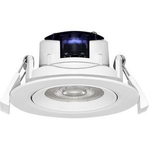 Braytron Plus COB Led Downlight 5W 6500K