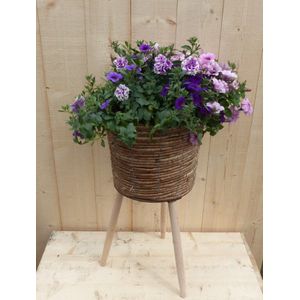 Rieten plantenbak bruin op poten met zomerbloeiers paars/roze h65 cm