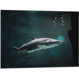 WallClassics - Vlag - Boze Haai onder Water - 80x60 cm Foto op Polyester Vlag