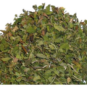 ZijTak - Pepper Mint - Munt - Pepermunt infusie - Kruidenthee - Fris - 200 g
