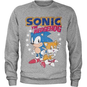 Sonic The Hedgehog Sweater/trui -L- Sonic & Tails Grijs