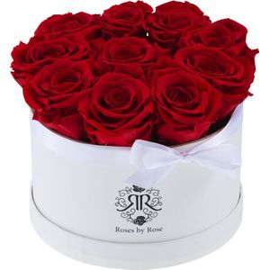 Rode longlife rozen - Anniversary Flowerbox, Regular size, white box