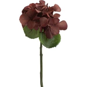 J-Line bloem Hydrangea - kunststof - bruin - small - 12 stuks