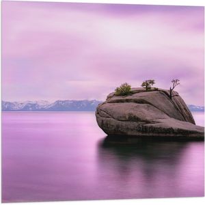 WallClassics - Vlag - Rots in Paars Water - 80x80 cm Foto op Polyester Vlag