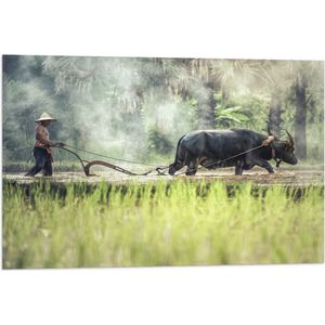 WallClassics - Vlag - Aziatische Boer aan het Werk - 75x50 cm Foto op Polyester Vlag