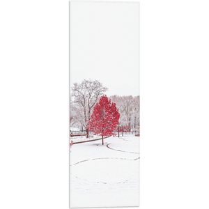 WallClassics - Vlag - Rode Boom in Witte Sneeuw - 20x60 cm Foto op Polyester Vlag