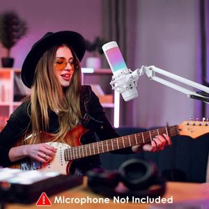 microfoonarm / microfoonarm Armmicrofoonstandaard