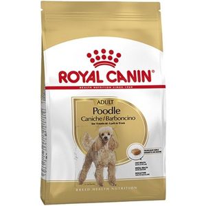 Royal Canin Poodle Adult - 1.5 kg