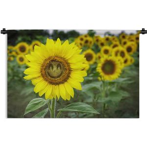 Wandkleed Zonnebloemen - Zonnebloem met een lachend gezicht Wandkleed katoen 60x40 cm - Wandtapijt met foto
