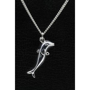 Zilveren Dolfijn ketting hanger - groot
