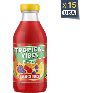 Tropical Vibes Paradise Punch - 15x30cl - Paradise Punch-sap