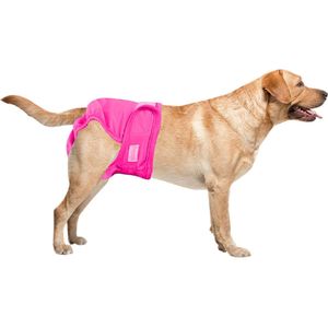 Loopsheidbroekje hond - roze - maat M - voor middelgrote teefjes - herbruikbaar - hondenbroekje - hondenluier - loopsheid - ongesteldheid - voorkomt ongewenste zwangerschappen bij teefjes - milieuvriendelijk - verantwoord - perfecte pasvorm