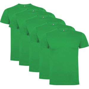 5 Pack Iers Groen t-shirts Roly Dogo Premium Kids 12 jaar 146 - 152