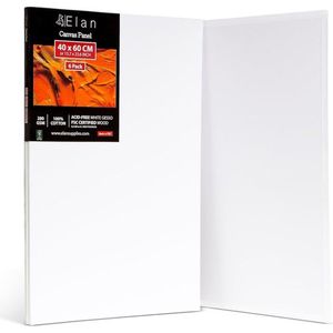 Canvas dun 40 x 60 cm, 6 stuks 100% katoen, canvas om te beschilderen, groot, schilderkarton voor acrylverf, schilderkarton acryl, kunstenaars, canvas, wit, schilderplaten om te schilderen