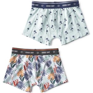 Little Label - boxershorts 2-pack - palm leaves green & palm azur - maat: 98/104 - bio-katoen