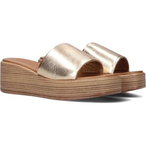 Notre-V 816013 Slippers - Dames - Goud - Maat 40